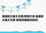 我愛的太傻太天真(歌詞介紹 我愛的太傻太天真 歌詞詳細情況如何)