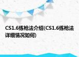 CS1.6練槍法介紹(CS1.6練槍法詳細(xì)情況如何)