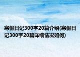 寒假日記300字20篇介紹(寒假日記300字20篇詳細(xì)情況如何)