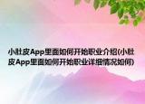 小肚皮App里面如何開始職業(yè)介紹(小肚皮App里面如何開始職業(yè)詳細(xì)情況如何)