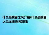 什么是魏晉之風(fēng)介紹(什么是魏晉之風(fēng)詳細(xì)情況如何)