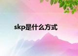 skp是什么方式