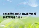 cny是什么意思（cny是什么幣種匯率簡介介紹）