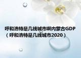 呼和浩特是幾線城市啊內(nèi)蒙古GDP（呼和浩特是幾線城市2020）