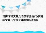 馬伊琍和文章幾個(gè)孩子介紹(馬伊琍和文章幾個(gè)孩子詳細(xì)情況如何)