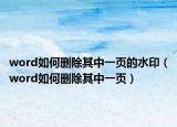 word如何刪除其中一頁的水?。╳ord如何刪除其中一頁）