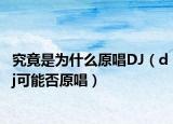 究竟是為什么原唱DJ（dj可能否原唱）