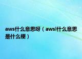 aws什么意思呀（awsl什么意思是什么梗）