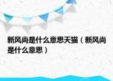 新風(fēng)尚是什么意思天貓（新風(fēng)尚是什么意思）