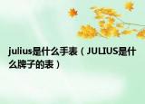 julius是什么手表（JULIUS是什么牌子的表）