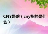 CNY是啥（cny指的是什么）