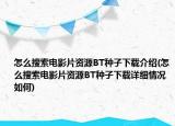 怎么搜索電影片資源BT種子下載介紹(怎么搜索電影片資源BT種子下載詳細(xì)情況如何)