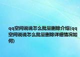 qq空間說說怎么批量刪除介紹(qq空間說說怎么批量刪除詳細(xì)情況如何)