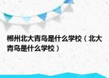 郴州北大青鳥(niǎo)是什么學(xué)校（北大青鳥(niǎo)是什么學(xué)校）