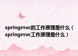 springmvc的工作原理是什么（springmvc工作原理是什么）