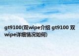 gt9100(雙wipe介紹 gt9100 雙wipe詳細(xì)情況如何)