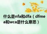 什么是nfa和dfa（dfmea和wca是什么意思）