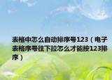 表格中怎么自動排序號123（電子表格序號往下拉怎么才能按123排序）