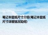 筆記本壁紙尺寸介紹(筆記本壁紙尺寸詳細情況如何)