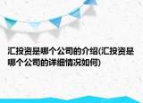 匯投資是哪個(gè)公司的介紹(匯投資是哪個(gè)公司的詳細(xì)情況如何)