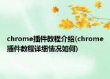 chrome插件教程介紹(chrome插件教程詳細(xì)情況如何)