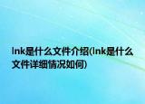 lnk是什么文件介紹(lnk是什么文件詳細情況如何)