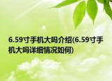 6.59寸手機大嗎介紹(6.59寸手機大嗎詳細情況如何)