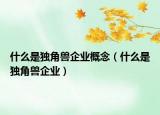 什么是獨(dú)角獸企業(yè)概念（什么是獨(dú)角獸企業(yè)）