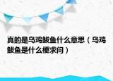 真的是烏雞鲅魚(yú)什么意思（烏雞鲅魚(yú)是什么梗求問(wèn)）