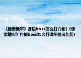 《像素地牢》各層boss怎么打介紹(《像素地牢》各層boss怎么打詳細(xì)情況如何)