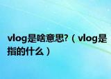 vlog是啥意思?（vlog是指的什么）