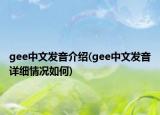 gee中文發(fā)音介紹(gee中文發(fā)音詳細(xì)情況如何)