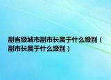 副省級城市副市長屬于什么級別（副市長屬于什么級別）