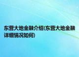 東營大地金融介紹(東營大地金融詳細情況如何)