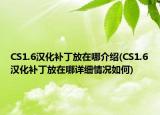 CS1.6漢化補(bǔ)丁放在哪介紹(CS1.6漢化補(bǔ)丁放在哪詳細(xì)情況如何)