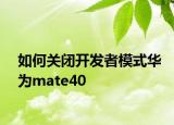 如何關(guān)閉開發(fā)者模式華為mate40