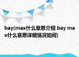 bay(max什么意思介紹 bay max什么意思詳細(xì)情況如何)