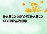 什么是CD-KEY介紹(什么是CD-KEY詳細情況如何)