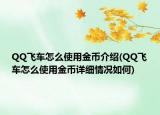 QQ飛車怎么使用金幣介紹(QQ飛車怎么使用金幣詳細(xì)情況如何)