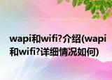 wapi和wifi?介紹(wapi和wifi?詳細情況如何)