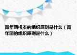 青年團(tuán)根本的組織原則是什么（青年團(tuán)的組織原則是什么）