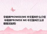 辛?xí)早鱌ROMISE(ME 中文版叫什么介紹 辛?xí)早鱌ROMISE ME 中文版叫什么詳細(xì)情況如何)