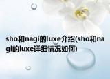 sho和nagi的luxe介紹(sho和nagi的luxe詳細(xì)情況如何)