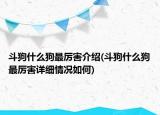 斗狗什么狗最厲害介紹(斗狗什么狗最厲害詳細(xì)情況如何)