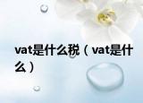 vat是什么稅（vat是什么）