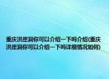 重慶洪崖洞你可以介紹一下嗎介紹(重慶洪崖洞你可以介紹一下嗎詳細(xì)情況如何)