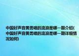 中國好聲音黃勇唱的流浪是哪一期介紹(中國好聲音黃勇唱的流浪是哪一期詳細情況如何)