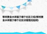 鄂州黃金水岸屬于哪個(gè)社區(qū)介紹(鄂州黃金水岸屬于哪個(gè)社區(qū)詳細(xì)情況如何)