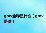 gmv全稱是什么（gmv是啥）