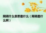 網(wǎng)調(diào)什么意思是什么（網(wǎng)調(diào)是什么?。? /></span></a>
                        <h2><a href=